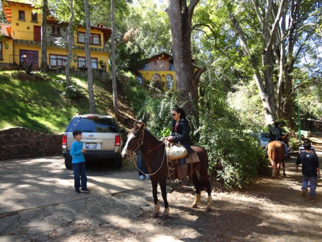  Horseback riding 