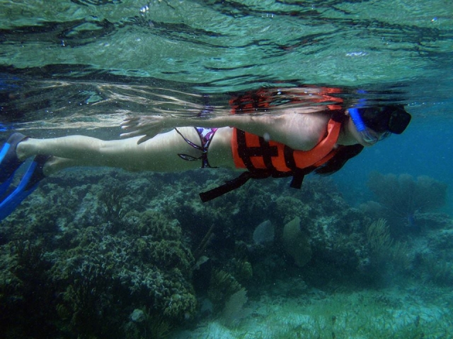  Swimming everywhere in the Great Mayan Reef 