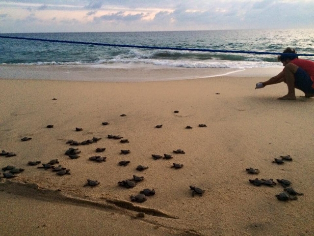  Spiaggia di Los Cabos 