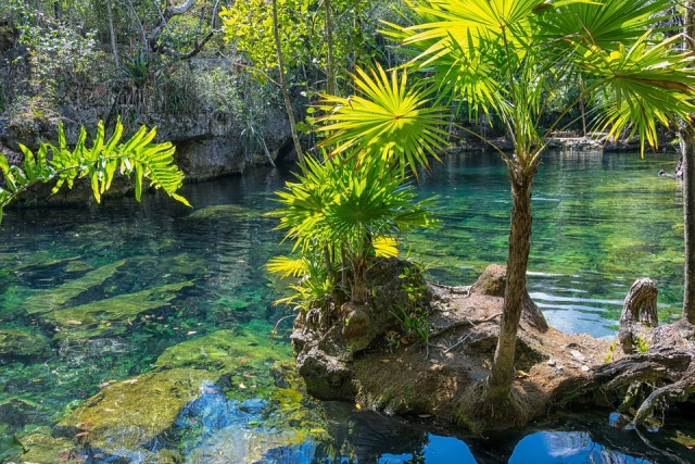  Apprenez à connaître les cenotes 