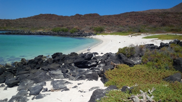  Reach each virgin beach 