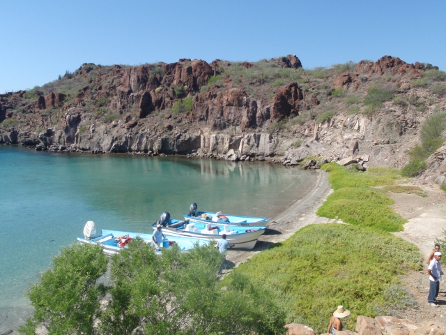  Boat trips