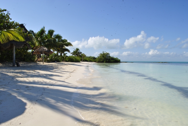  Nuota sulle spiagge 