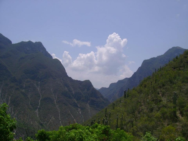  Hidalgo 