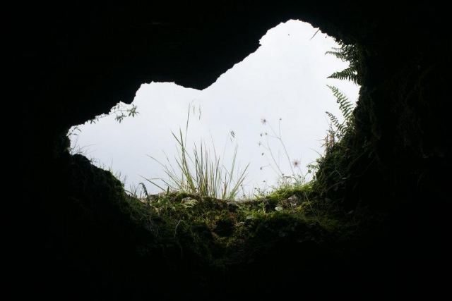 Cuevas