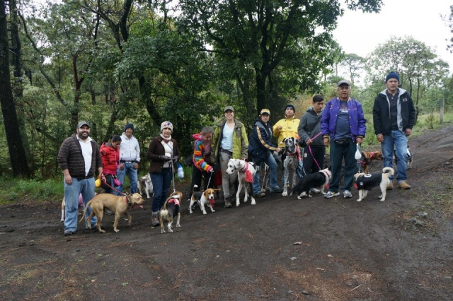 caminata con mascotas