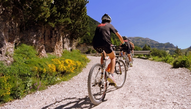 Guided bicycle routes 
