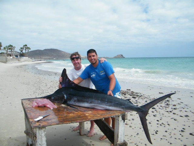  Marlin 