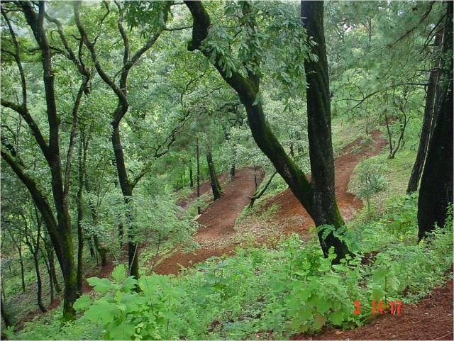  Wandern 