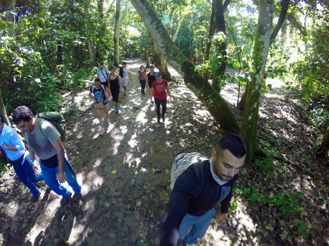 Caminata grupal