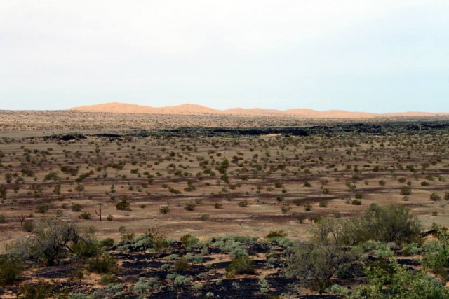 Conoce el desierto
