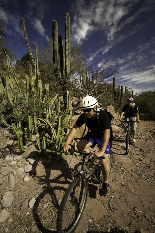  在 Sierra la Giganta 拍摄 