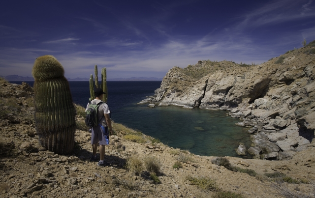  令人难以置信的景色和我们植物群的标本 