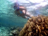 Snorkel en el Caribe