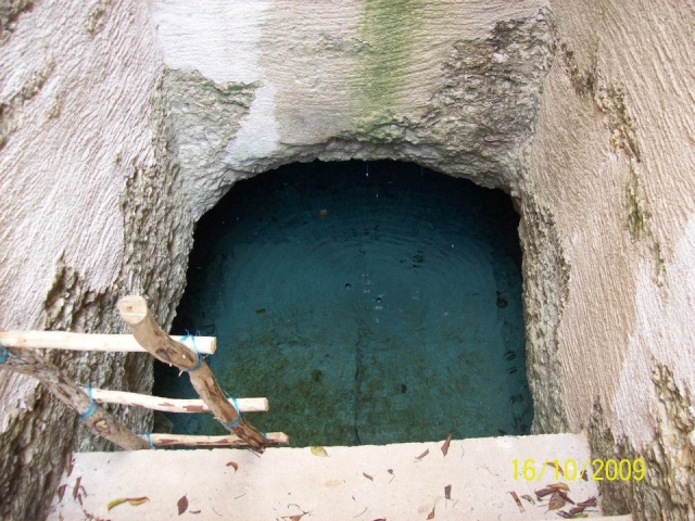  Cenote 