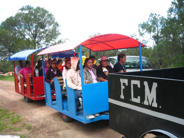 petit train 