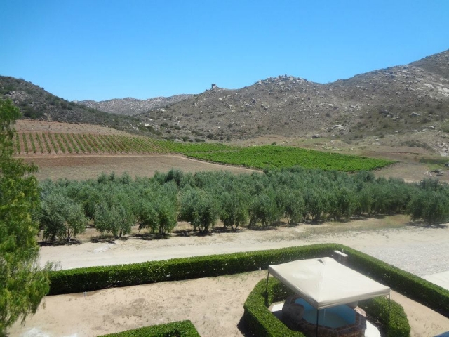  Vineyards