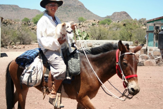  A cavallo 