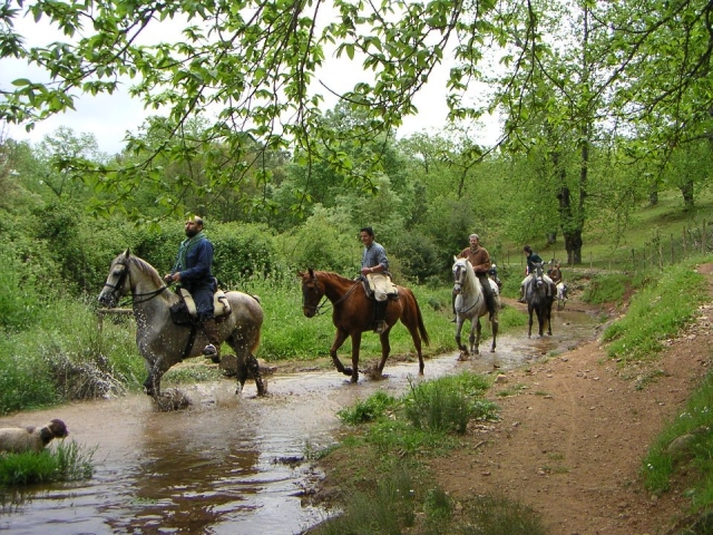 Cabalgatas