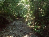 Strade del Chiapas 
