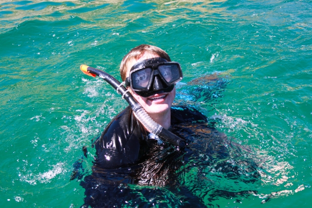  Snorkel 