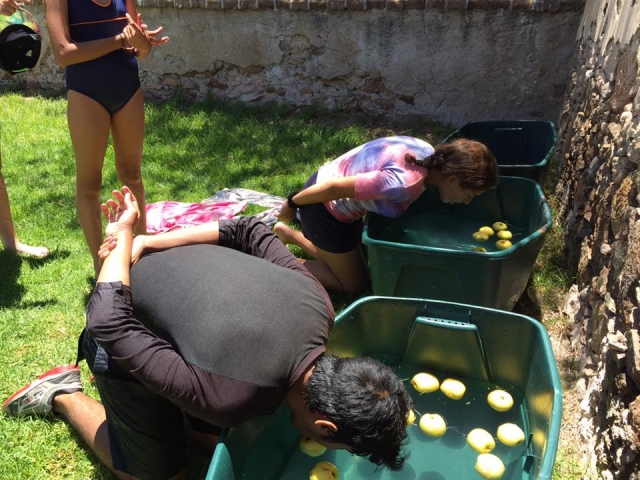  Playing to bite the apples in the buckets 