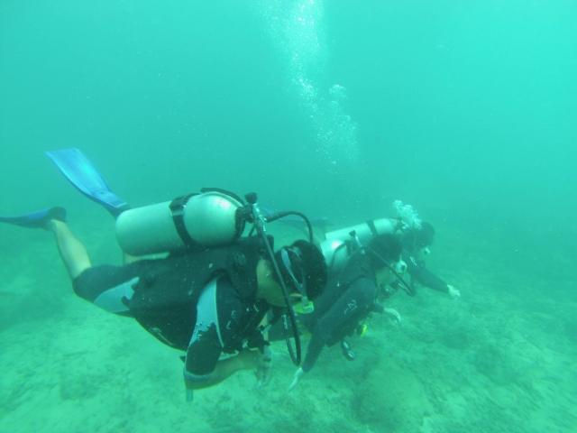  immersioni nelle barriere coralline di Veracruz 