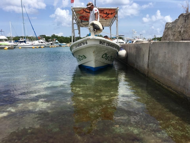  我们的团队在港口 