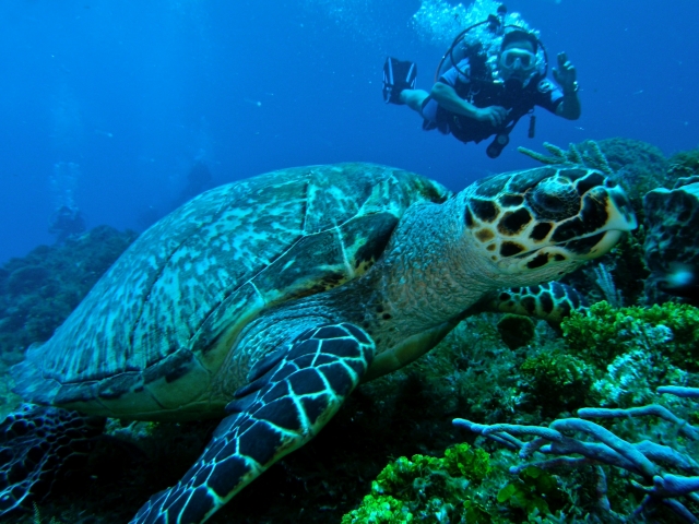  Scopri luoghi impressionanti sotto il mare