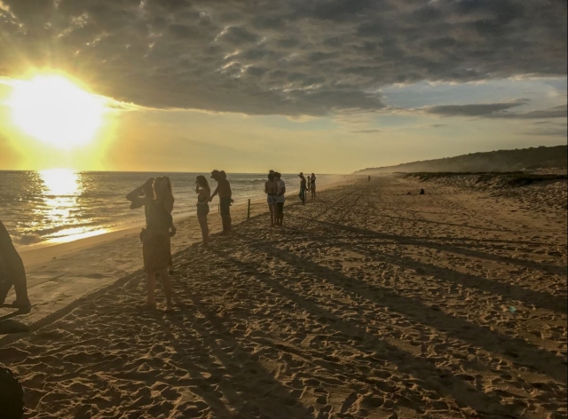 promenades dans le sable 