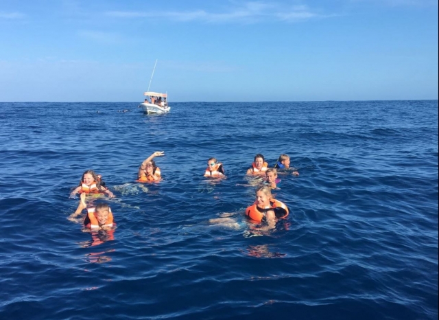 baignade dans la mer 