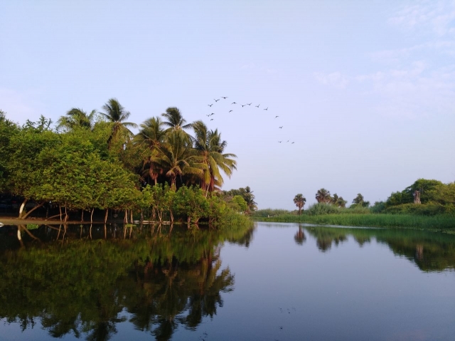 Puerto Escondido 