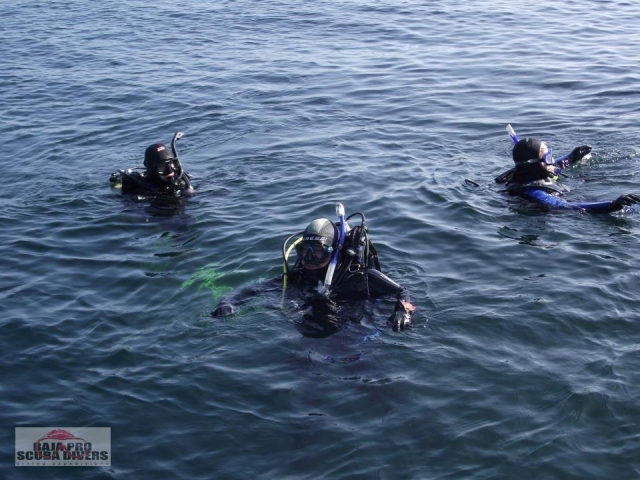  Mergulhadores em águas abertas 