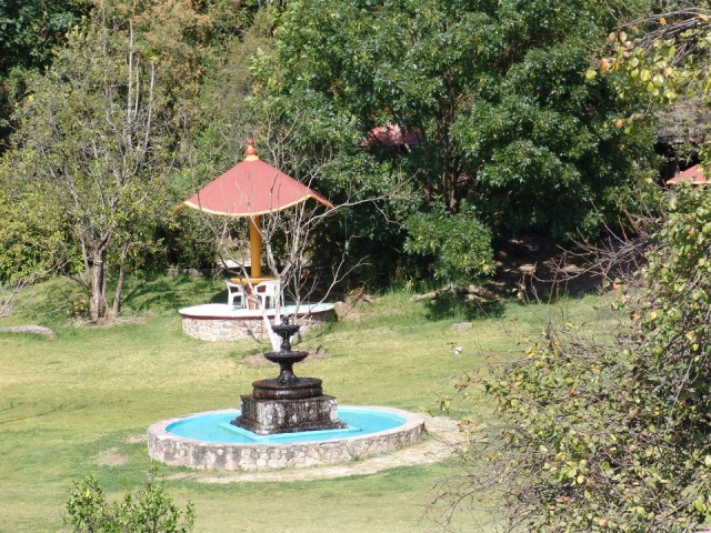  Gardens 