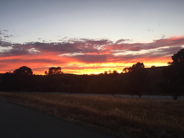  Der Sonnenuntergang in Chihuahua 