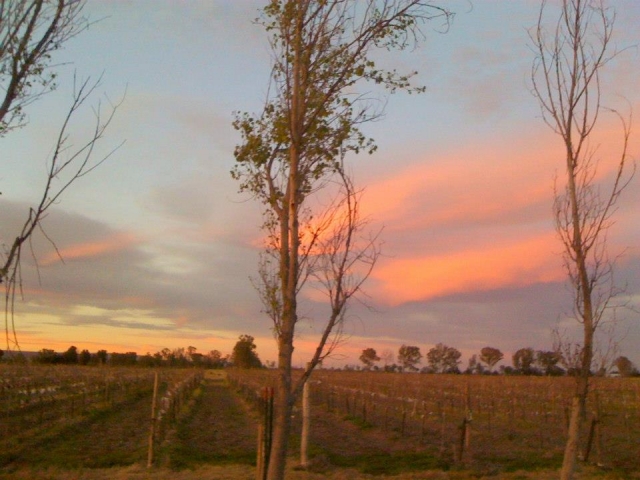  Bodegaa2buhos logo