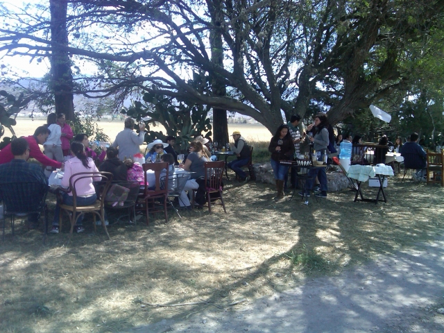  In campagna 