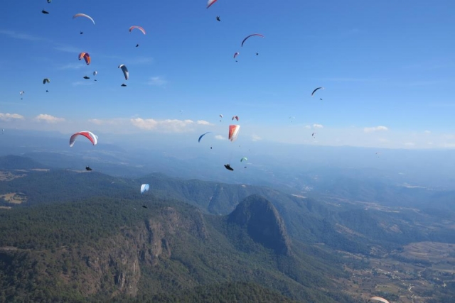  Concurso aberto Monarch 