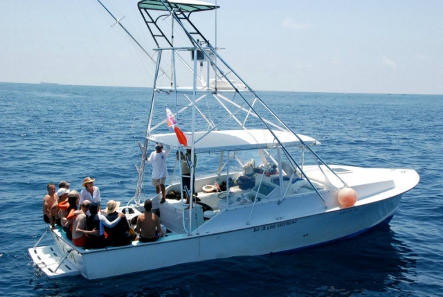  Walking in the Caribbean 