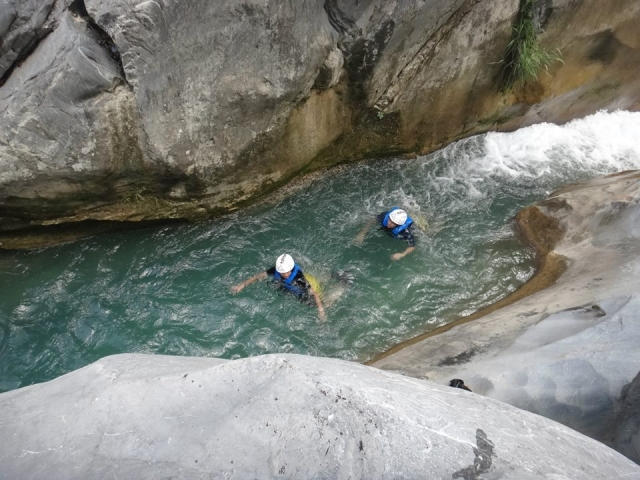  Matacanes 
