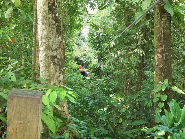  Prepared for the adventure in the jungle