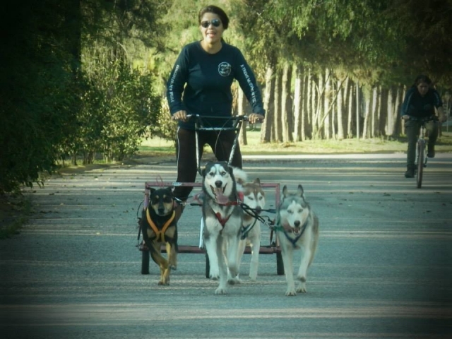 Kartfahren 