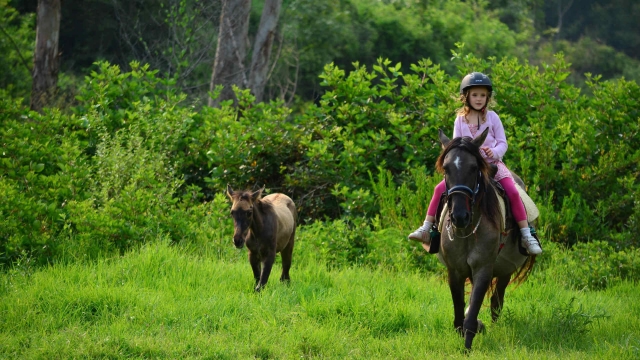 Horseback riding 