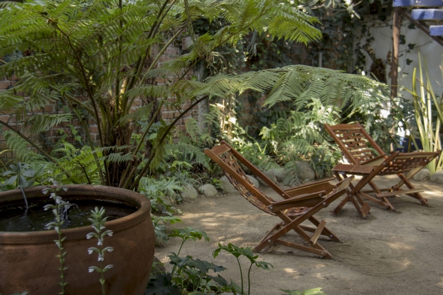  The garden 