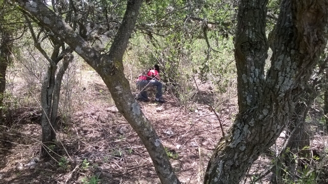 Gotcha Woods