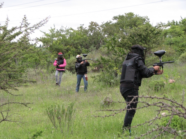  Fun in the field 