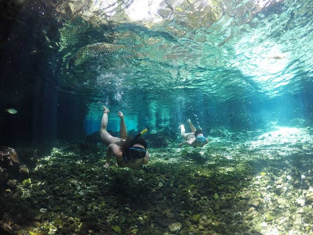  享受加勒比海的海水 