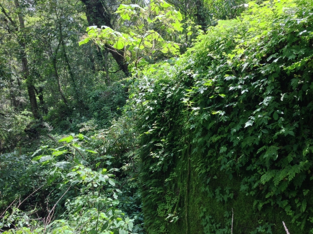 Paisajes
