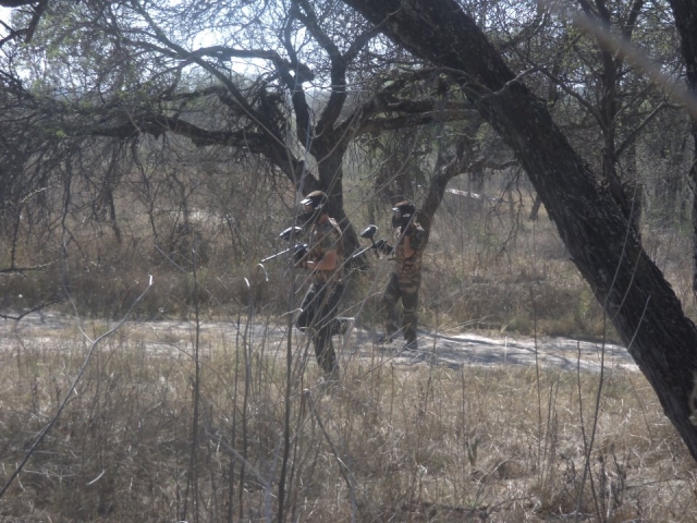 Natural gotcha field 