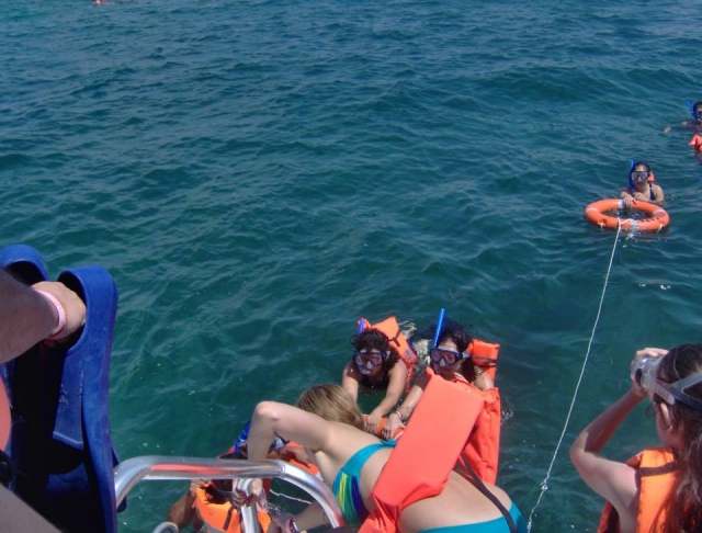  Sicheres Schnorcheln 